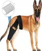 A dog wearing a black knee brace on its hind leg, with a close-up inset of the brace's fasteners. Produktbild-Vorschau