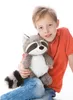 Nici knuffel, wasbeer Rod, afmetingen: 35 cm Productafbeelding-voorbeeld 1