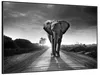 Wallario Wandbild Elefant bei Sonnenaufgang in Afrika Produktbild-Vorschau 2