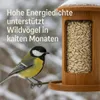 A bird feeder filled with sunflower seeds, with a bird perched on it, and text overlay. Produktbild-Vorschau