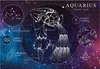 Interdruk Puzzle 250 dílků znamení zvěrokruhu 11 Vodnář Náhled obrázku produktu 3