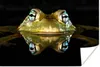 MuchoWow® Poster Frosch - Augen - Porträt 180x120 cm - Produktbild-Vorschau 1