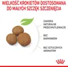Royal Canin Maxi Puppy, Szczenięta, Maxi (26 - 44 kg), Ryż, Podgląd zdjęcia produktu 7