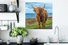 MuchoWow® Poster Schottischer Highlander - Wasser - Hörner Produktbild-Vorschau 3