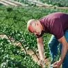 Banden Folientunnelbogen für Folientunnel, Tunnelfolien, Produktbild-Vorschau 3