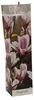 3 x Magnolien 30-40 cm 'Soulangeana', 'Susan' und Produktbild-Vorschau 2