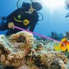 Bastone per immersione, asta per immersione, puntatore per Anteprima dell’immagine prodotto 2