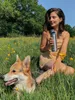 Termofľaša ContiGo! Ashland Chill 590 ml s náustkom - Náhľad obrázku produktu 15