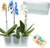 2er Set Orchideentopf Transparent Orchideen Übertopf Produktbild-Vorschau 1