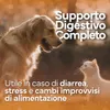PROBIOTIQUES POUR CHIENS de haute qualité  Italy. Ferments Voir les images du produit 3