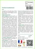 SAFLAX  - Parfums enchanteurs - 1000 graines - Mix Voir les images du produit 3