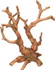Ornamenti Aqua "Radici" 15,0 x 8,0 x 17,5 cm Anteprima dell’immagine prodotto 1