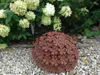 A rusty metal sphere decorated with flower shapes sits on a bed of gravel in front of a hydrangea bush. Anteprima dell’immagine prodotto