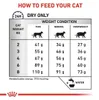 Royal Canin Feline Veterinary Dental S/O 3kg Trockenfutter Produktbild-Vorschau 2