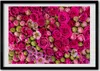Bild - Bilder - Bilderrahmen - 70 cm x 50 cm - MDF-Rahmen, Produktbild-Vorschau 1