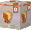 Lampe de table OSRAM Decor Corolle E14, métal et verre, Voir les images du produit 2