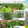 TTL GARDEN Frühbeet Aufsatz 100x60x40cm – Alu & Produktbild-Vorschau 4
