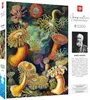 Cenega Imagination, 1000 kusov, Umenie Náhľad obrázku produktu 2