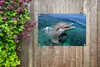 MuchoWow® 60x40 cm Outdoor-Poster Gartendeko Sichtschutz Produktbild-Vorschau 5