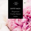 Diffusore a bastoncini 100 ml - Fragranza a lunga durata Anteprima dell’immagine prodotto 2