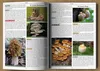 Wilderness Long-Term Survival Guide: Forgotten Skills to Produktbild-Vorschau 6