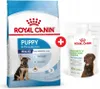 ROYAL CANIN Maxi Puppy - Welpe - Groß (26-44 kg) - Reis - Náhled obrázku produktu 16