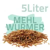 5 Liter Mehlwürmer getrocknet Produktbild-Vorschau