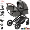 Poussette combinée et poussette canne 2 en 1 Daliya® Voir les images du produit 1