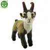 RAPPA Plüschgämse 24 cm ECO-FRIENDLY Produktbild-Vorschau 9