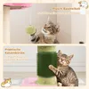 Two cats interacting with a cat tree, one playing with a ball and the other rubbing against a brush. Produktbild-Vorschau