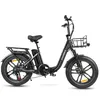 20 * 4,0 palců LCD Fat Foldable E- Bike E-Mountainbike Náhled obrázku produktu 4