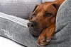TrendPet VitaBed Classic orthopädisches Hundebett grau Produktbild-Vorschau 4