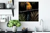 MuchoWow® Poster Vogel - Papagei - Zweig - Blätter 50x50 cm Produktbild-Vorschau 3
