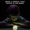 Kit per la coltivazione di cristalli luminosi del National Anteprima dell’immagine prodotto 9