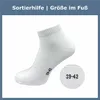 Gawilo  Kurze Sportsocken Damen & Herren (6 Paar), Hellgrau Produktbild-Vorschau 7