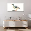 Coloray Bild aus Leinwand 100x50 Leinwand Dekoration - Tier Produktbild-Vorschau 4