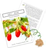Goji Beeren Samen (Lycium chinense) - Vitaminreiche, rote Produktbild-Vorschau 1