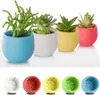 Lot de 6 pots de fleurs Cactus jaunes 6 cm avec réservoir Voir les images du produit 2