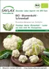 Artikelbild 1 von 'BIO Blumenkohl Schneeball' aus der Kategorie Blumenkohlsamen Náhled obrázku produktu