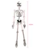 Aufblasbares Skelett 183 cm - Knochengerüst Knochenmann Produktbild-Vorschau 2