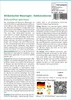SAFLAX - Afrikanischer Blauregen - Bolusanthus speciosus - Produktbild-Vorschau 3