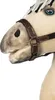 Hobby Horse -Premium- Norweger Produktbild-Vorschau 8