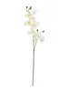EUROPALMS Orchideenzweig, künstlich, creme-weiß, 100cm Produktbild-Vorschau 1
