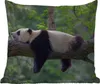 MuchoWow® Outdoor Kissen - Panda - Baum - Tiere - Natur - Produktbild-Vorschau 1