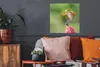 MuchoWow® Poster Der rotäugige Laubfrosch in Costa Rica Produktbild-Vorschau 2