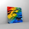 Bilder auf glas - Feder Papagei Vogel - 30x30cm - Produktbild-Vorschau 4