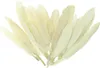 20 Entenfedern , 9-14 cm , vanille Produktbild-Vorschau