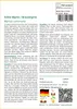 SAFLAX - Echte Myrte / Brautmyrte - Myrtus communis - 30 Produktbild-Vorschau 3