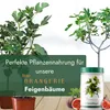 Meine Orangerie Feigenbaum Dünger [1kg] - Premium Dünger Produktbild-Vorschau 7
