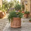 Teramico « Cilindro Cipressi » Pot de fleurs en terre cuite Voir les images du produit 8